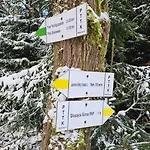 Graniczna 21 - W Gorach Sowich * Ober Wüstegiersdorf