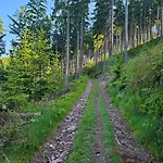 Graniczna 21 - W Gorach Sowich Ober Wüstegiersdorf