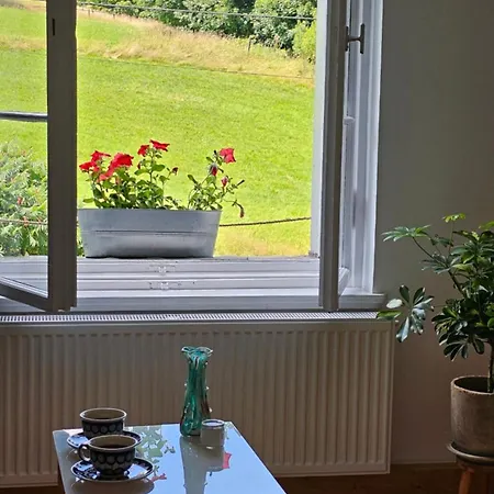Graniczna 21 - W Gorach Sowich *