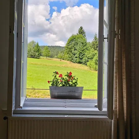 Graniczna 21 - W Gorach Sowich Apartamento