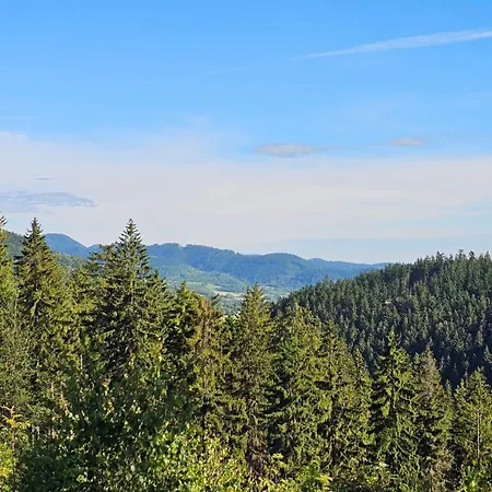 Graniczna 21 - W Gorach Sowich Daire *