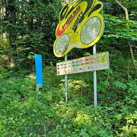Graniczna 21 - W Gorach Sowich * Gluszyca Gorna