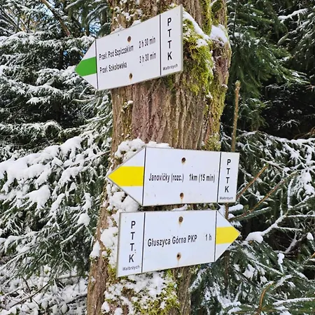 Graniczna 21 - W Gorach Sowich * Ober Wüstegiersdorf