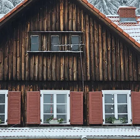 Graniczna 21 - W Gorach Sowich Gluszyca Gorna