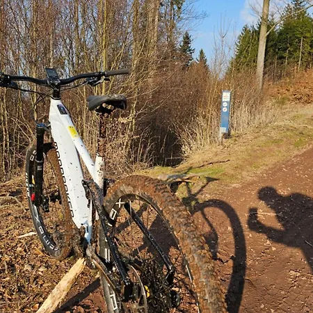 Graniczna 21 - W Gorach Sowich