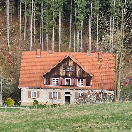 Graniczna 21 - W Gorach Sowich Apartamento *
