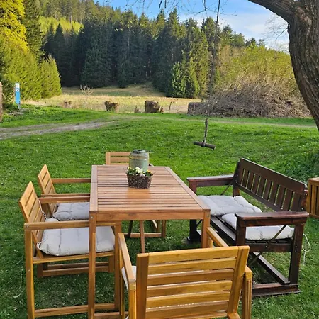 Graniczna 21 - W Gorach Sowich Gluszyca Gorna