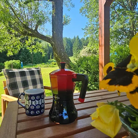 Graniczna 21 - W Gorach Sowich Daire *