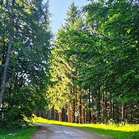 Graniczna 21 - W Górach Sowich *