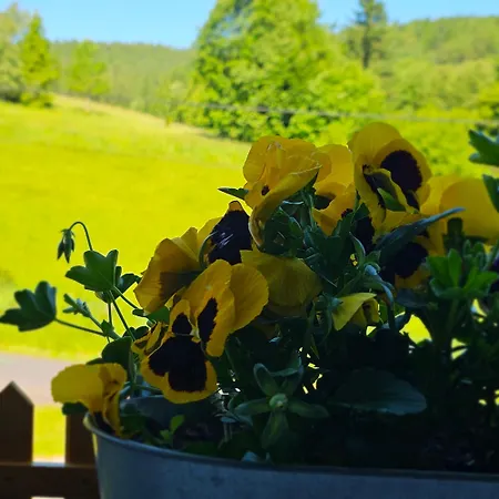 Graniczna 21 - W Gorach Sowich * Ober Wüstegiersdorf