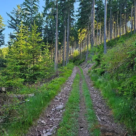 Graniczna 21 - W Gorach Sowich Ober Wüstegiersdorf