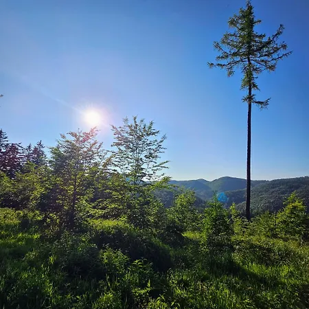 Graniczna 21 - W Gorach Sowich