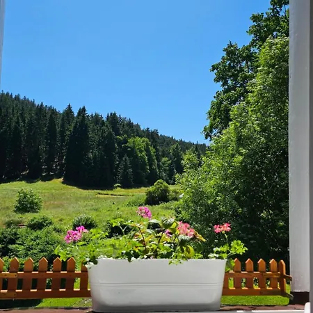 Graniczna 21 - W Gorach Sowich * Ober Wüstegiersdorf