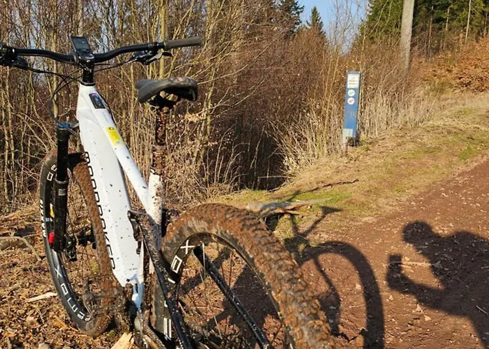 Graniczna 21 - W Gorach Sowich