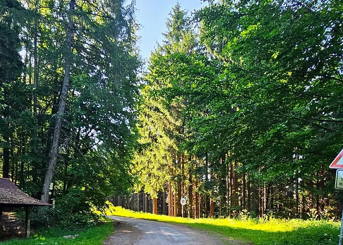 Graniczna 21 - W Gorach Sowich *