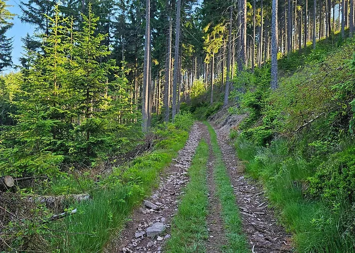 Graniczna 21 - W Górach Sowich Ober Wüstegiersdorf