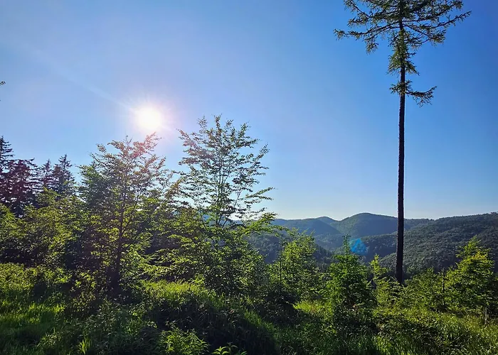 Graniczna 21 - W Górach Sowich